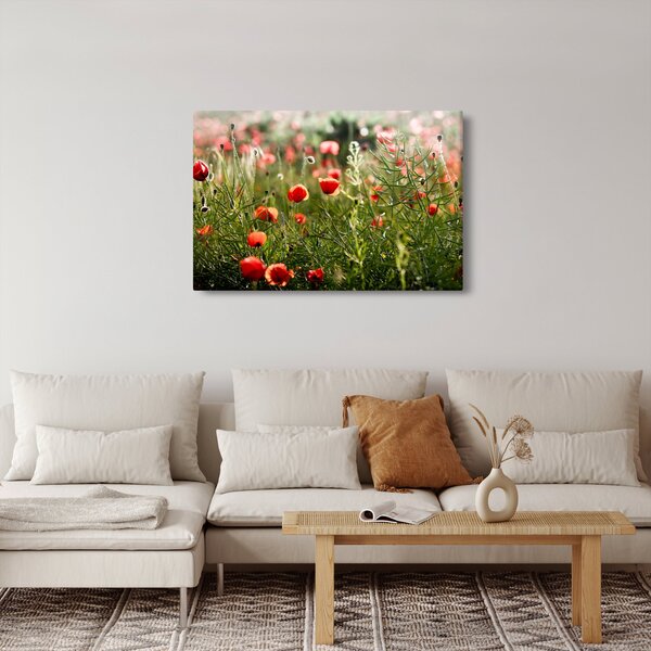 Tablou cu maci (90x60 cm)
