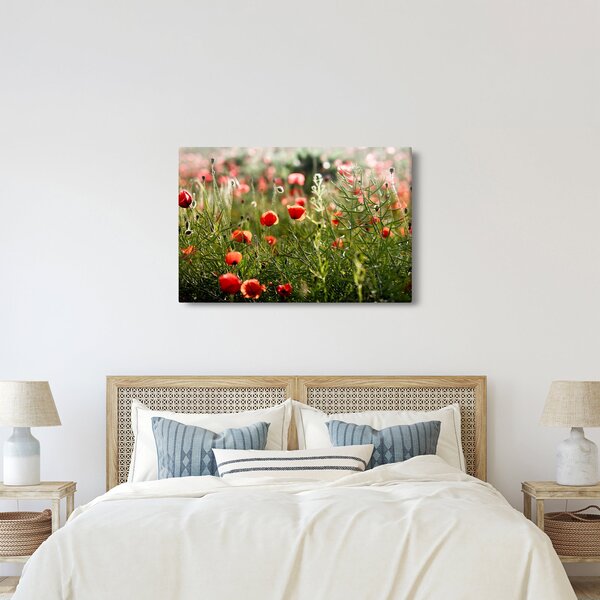 Tablou cu maci (90x60 cm)