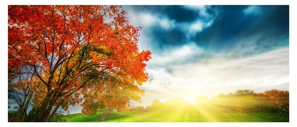 Tablou peisaj cu scufundat în razele solare (120x50 cm)