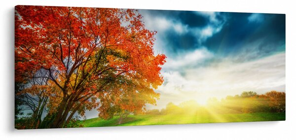 Tablou peisaj cu scufundat în razele solare (120x50 cm)