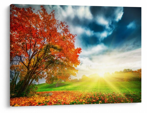 Tablou peisaj cu scufundat în razele solare (70x50 cm)
