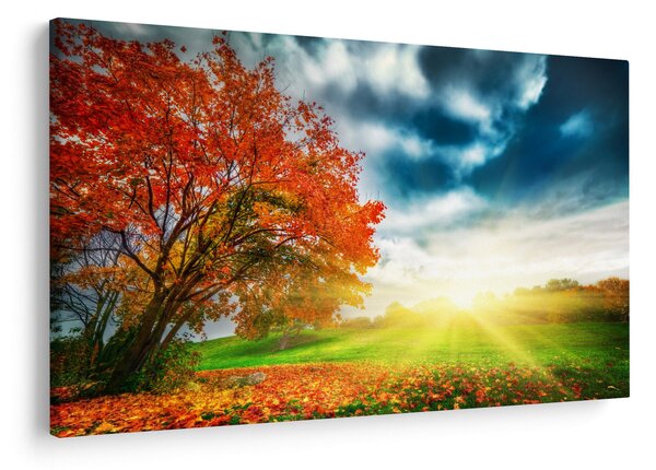 Tablou peisaj cu scufundat în razele solare (90x60 cm)