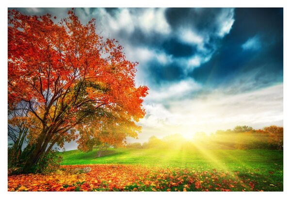 Tablou peisaj cu scufundat în razele solare (90x60 cm)