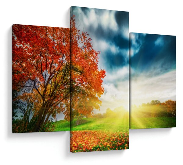Tablou peisaj cu scufundat în razele solare (90x60 cm)