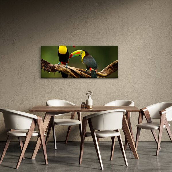 Tablou tucani sezând , Costa Rica (120x50 cm)