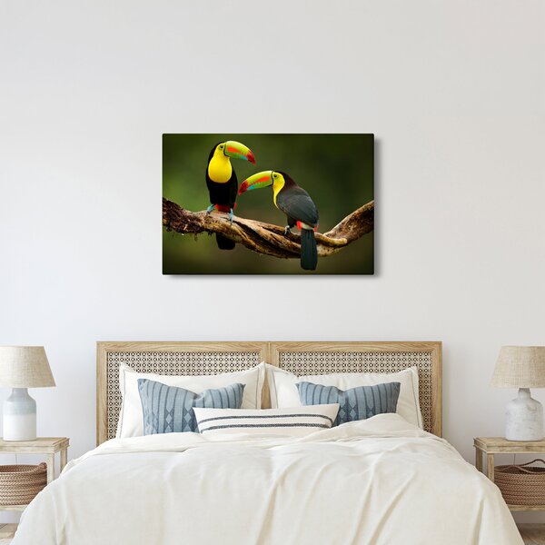 Tablou tucani sezând , Costa Rica (90x60 cm)