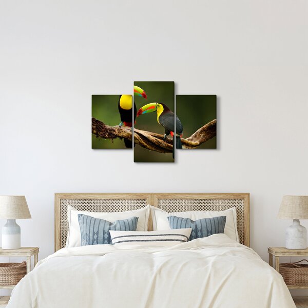 Tablou tucani sezând , Costa Rica (90x60 cm)