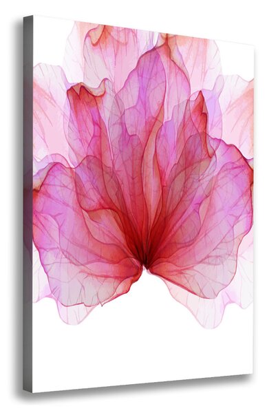 Tablou pe pânză canvas floare roz