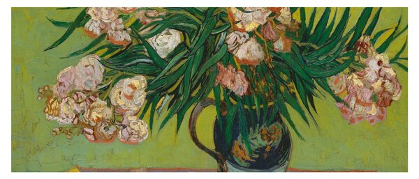 Tablou - Vincent van Gogh, Oleanders, reproducere (120x50 cm)