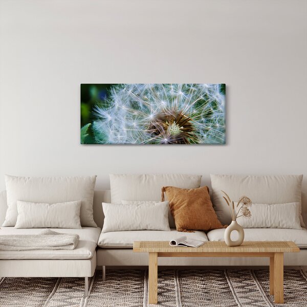 Tabloul cu păpădie desflorit (120x50 cm)
