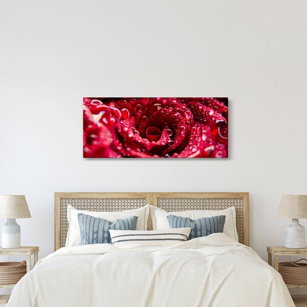 Tablou cu floarea trandafirului roșu (120x50 cm)