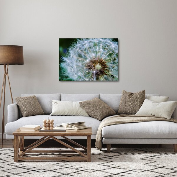 Tabloul cu păpădie desflorit (70x50 cm)