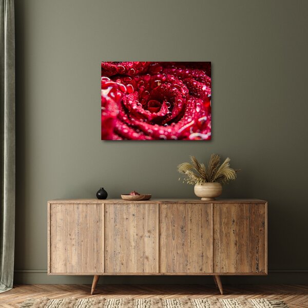Tablou cu floarea trandafirului roșu (70x50 cm)
