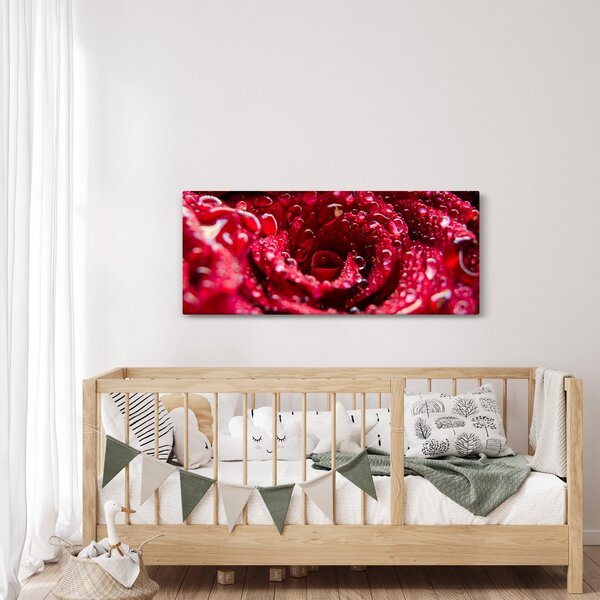 Tablou cu floarea trandafirului roșu (120x50 cm)