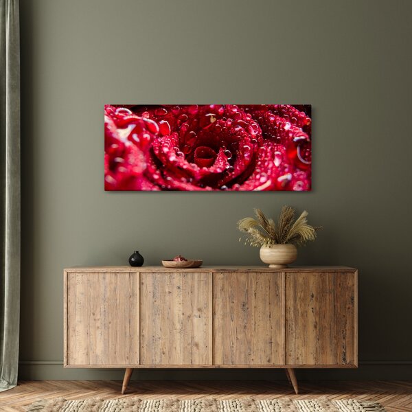 Tablou cu floarea trandafirului roșu (120x50 cm)