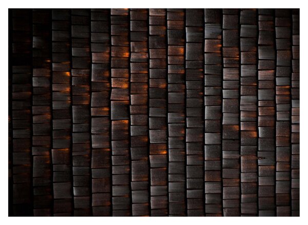 Tabloul abstract modern (70x50 cm)