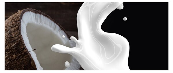 Tablou - laptele de cocos (120x50 cm)