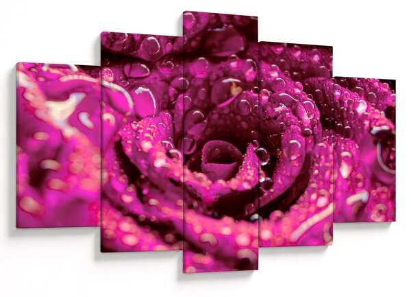 Tabloul cu floarea trandafirului roz (150x105 cm)