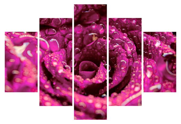 Tabloul cu floarea trandafirului roz (150x105 cm)
