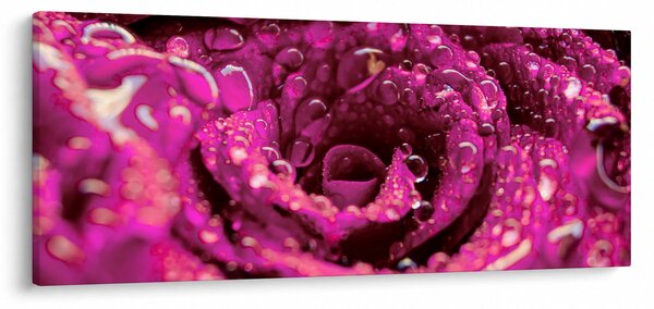 Tabloul cu floarea trandafirului roz (120x50 cm)