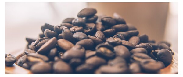 Tabloul cu cafea (120x50 cm)