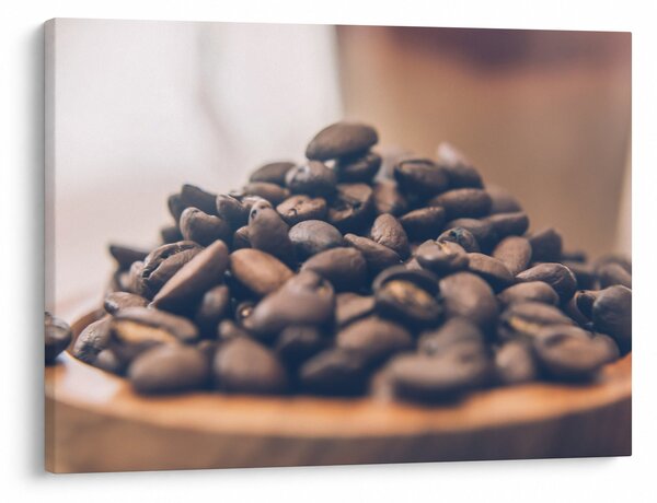Tabloul cu cafea (70x50 cm)