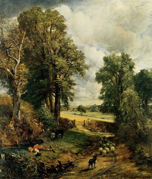 Reproducere The Cornfield, 1826, John Constable