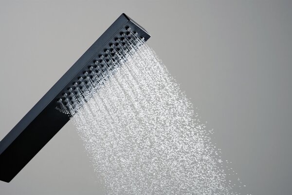 Hansgrohe Pulsify E duș de mână negru 24321670
