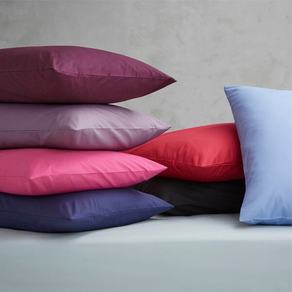 Cearceaf gri din bumbac percale cu elastic 135x190 cm Easy Iron Percale – Catherine Lansfield