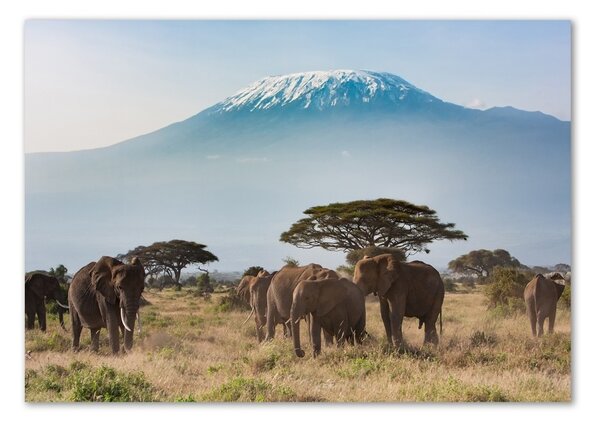 Tablou din Sticlă elefanți Kilimanjaro