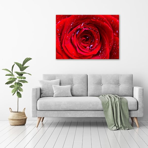 Tablou canvas Trandafir