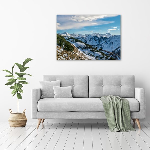 Imprimare tablou canvas coroana Tatra