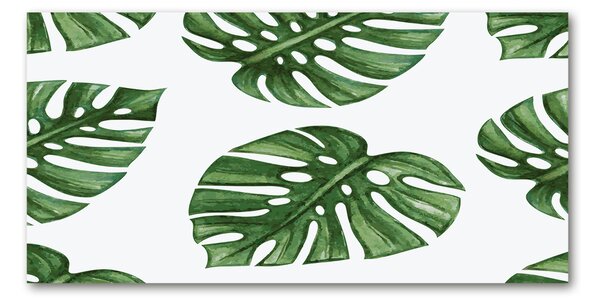 Tablou Printat Pe Sticlă Monstera
