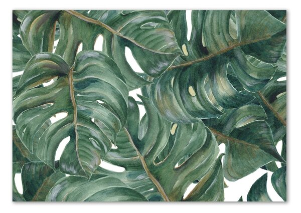 Tablou sticlă Monstera