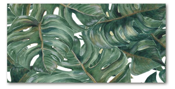 Tablou sticlă Monstera