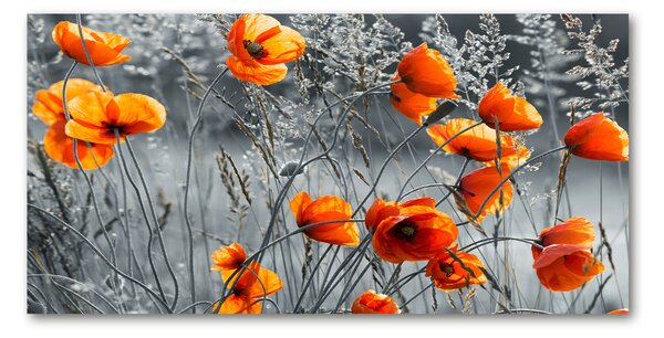 Tablou sticlă wildflowers maci