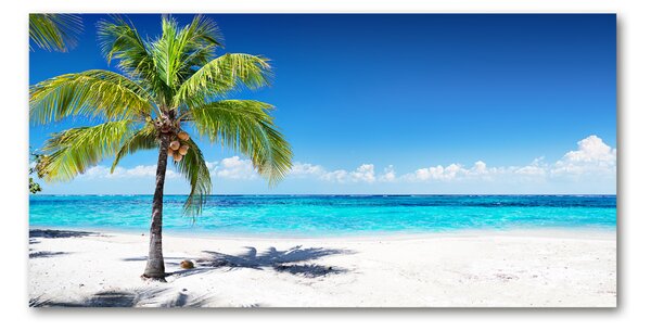 Imagine de sticlă plaja tropicala