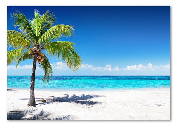 Imagine de sticlă plaja tropicala