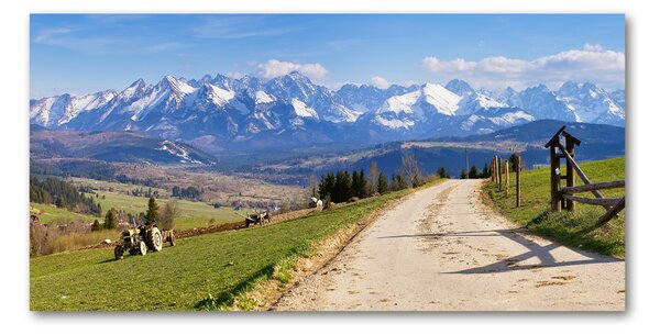 Tablou pe pe sticlă panorama Tatra
