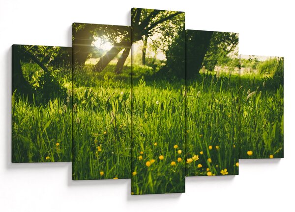 Tablou cu natura - lunca (150x105 cm)