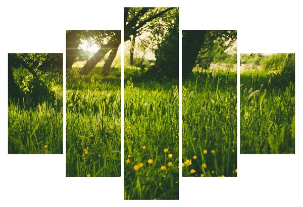 Tablou cu natura - lunca (150x105 cm)