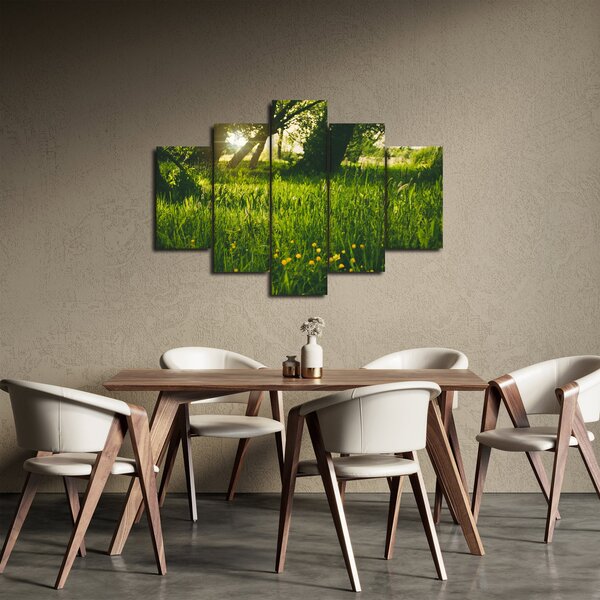 Tablou cu natura - lunca (150x105 cm)