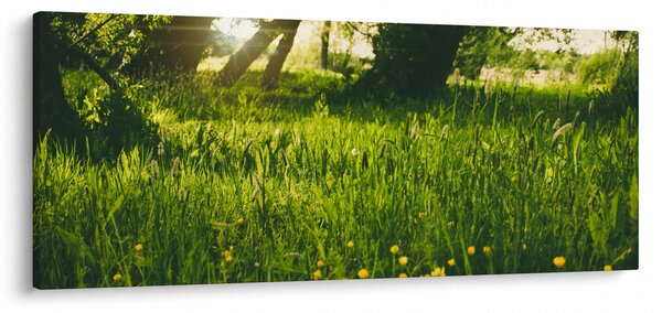 Tablou cu natura - lunca (120x50 cm)