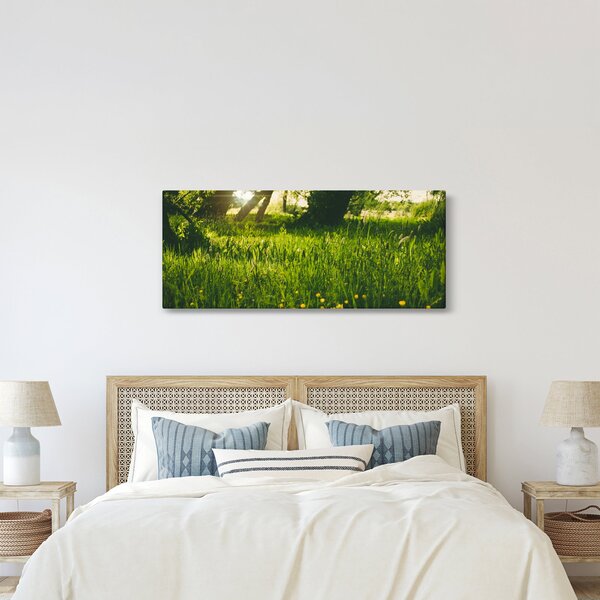 Tablou cu natura - lunca (120x50 cm)