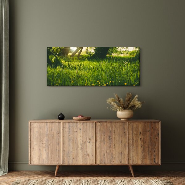 Tablou cu natura - lunca (120x50 cm)
