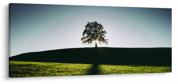 Tablou cu natura - copac (120x50 cm)