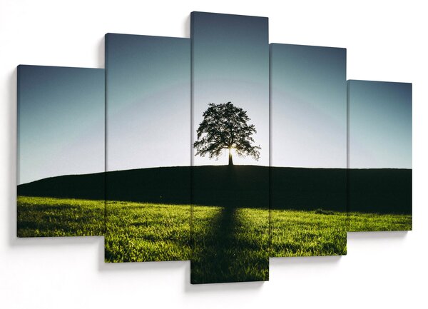 Tablou cu natura - copac (150x105 cm)