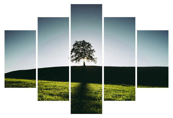 Tablou cu natura - copac (150x105 cm)