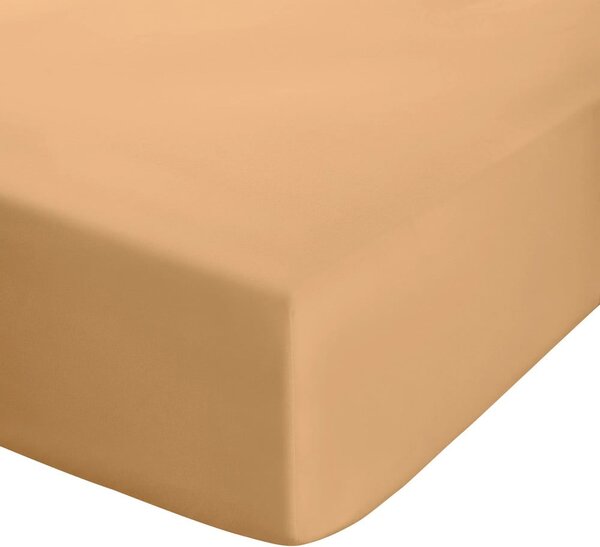Cearceaf galben-portocaliu din bumbac percale cu elastic 90x190 cm Easy Iron Percale – Catherine Lansfield