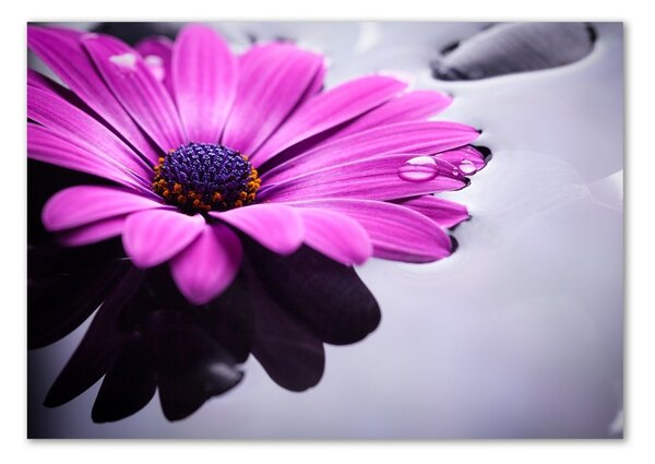 Tablou sticlă gerbera